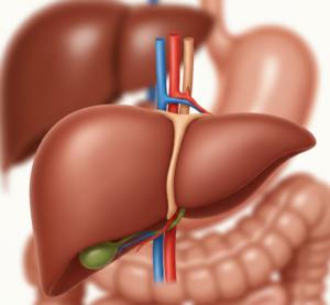 Gemini_Generated_Image_j0upprj0upprj0up