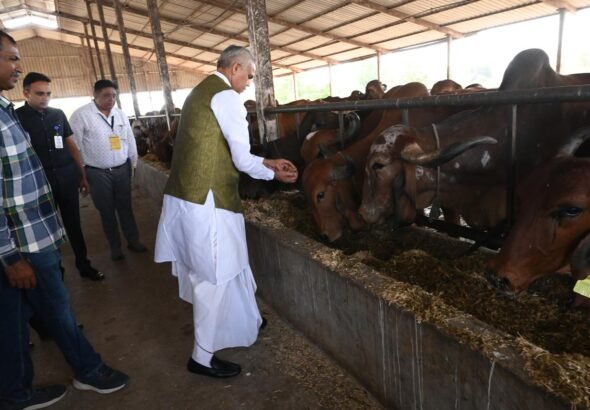 WhatsApp Image 2026-04-03 at 12.29.29 PM